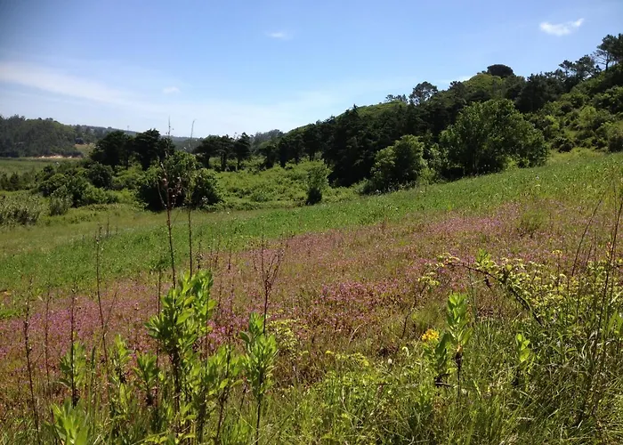 Villa Rio D'azenha -